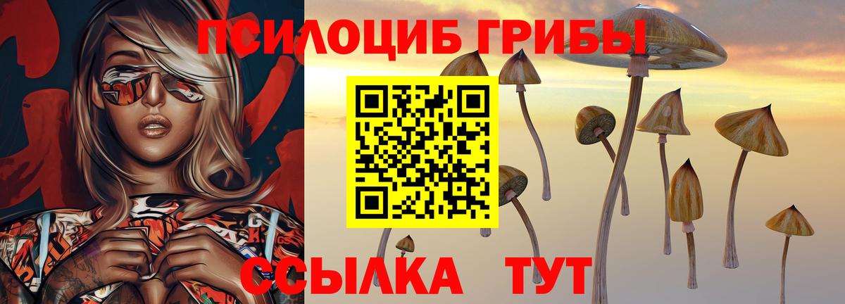 Псилоцибиновые грибы мицелий Красноярск