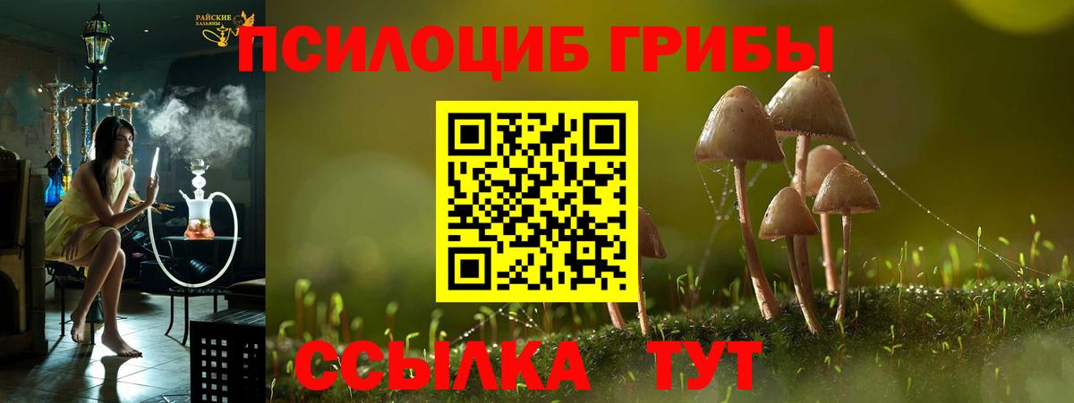 Галлюциногенные грибы Magic Shrooms  Вход с VPN  Красноярск 